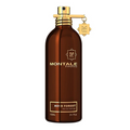 Montale Aoud Forest - Musk Fragances